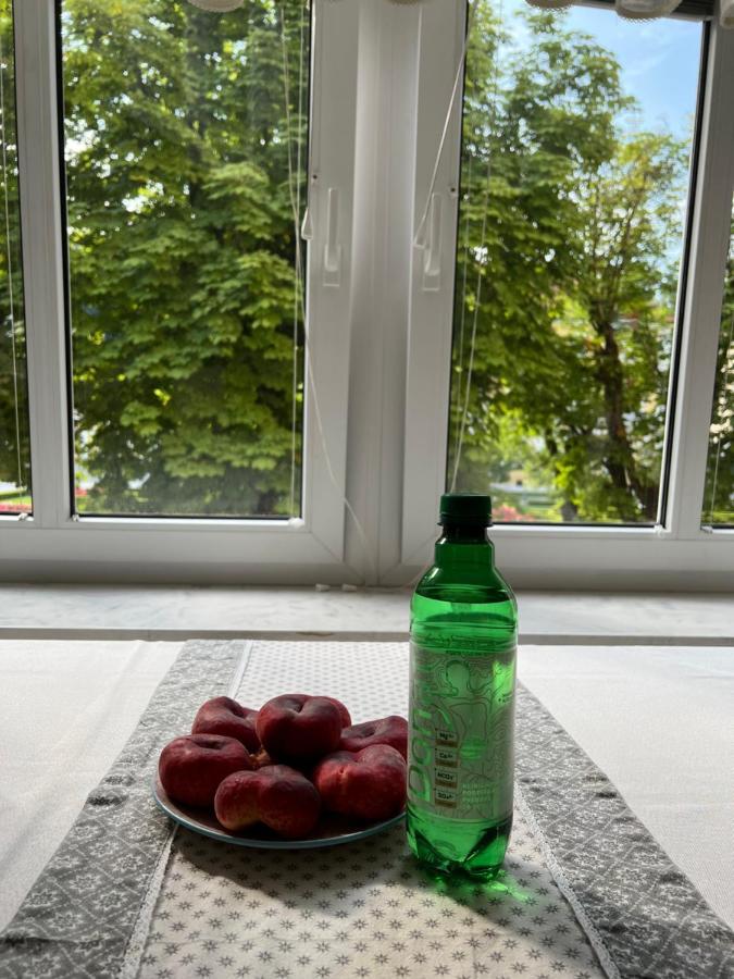 Apartment Juliana Rogaška Slatina Zewnętrze zdjęcie